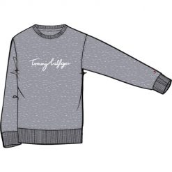 Tommy Hilfiger WW0WW30659 Regular Graphic C-NK Sweatshirt